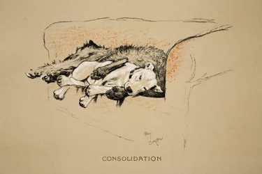 Consolation, 1930, 1ª Edição de &39;Sleeping Partners&39;, Aldin, Cecil Charles Windsor (1870-1935), publicado pela Eyre e Spottiswoode Limited, Giz e Carvão no papel